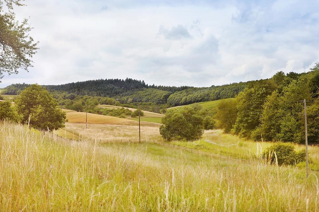 Landhotel Lembergblick Feilbingert Luaran gambar